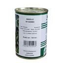 PARTAGEZ CE PRODUIT   Technisem Semence De Baselle De Gambie