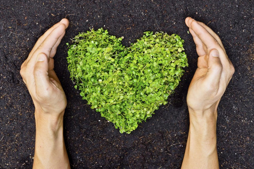 Eco responsable Intermédiaire