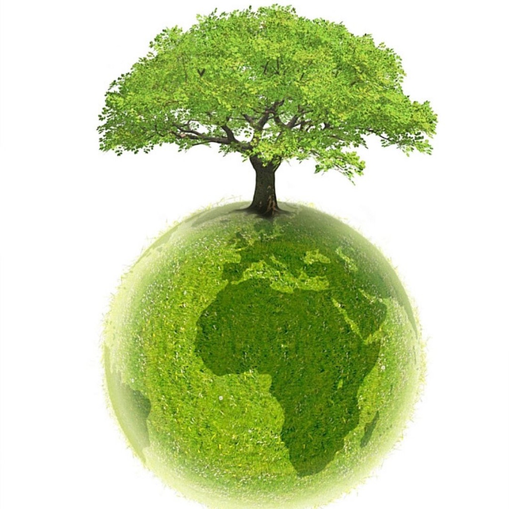 Eco Responsable Expert