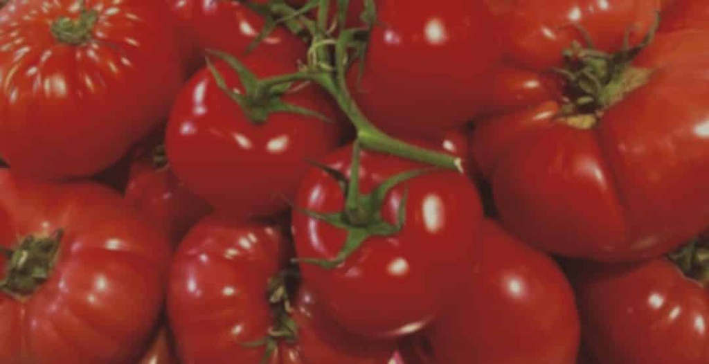 Tomate