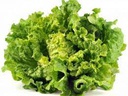 Salade2