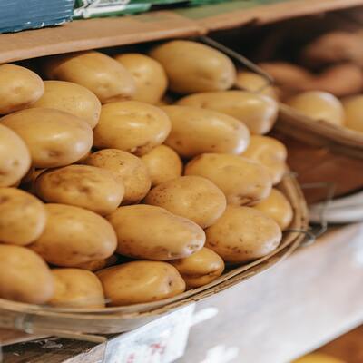 Pomme de terre2