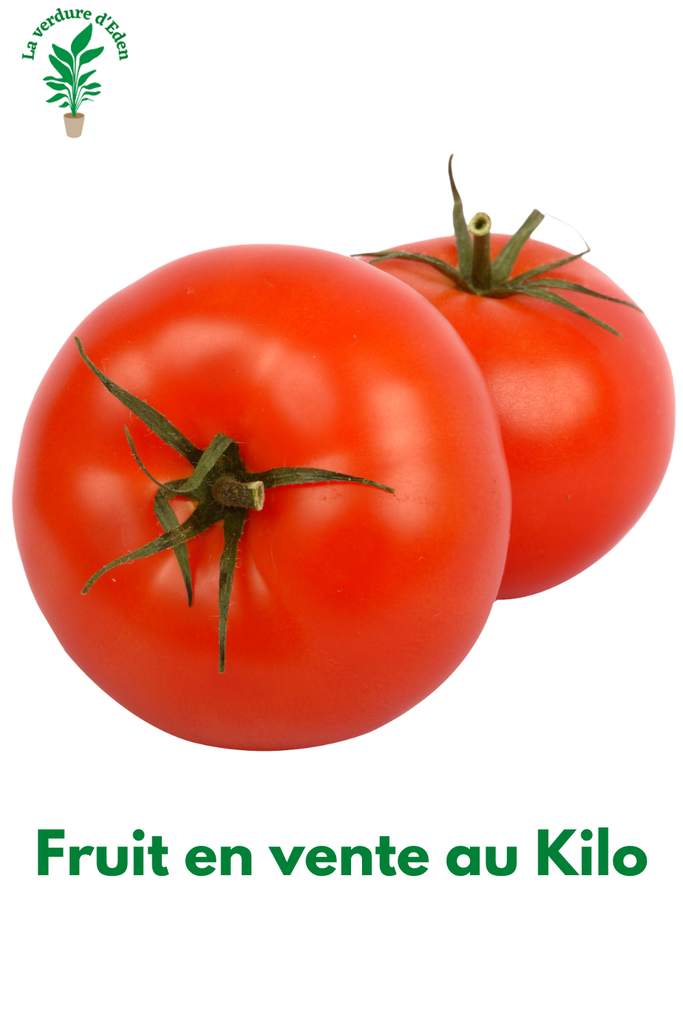 Tomate Cerise HARZGLUT