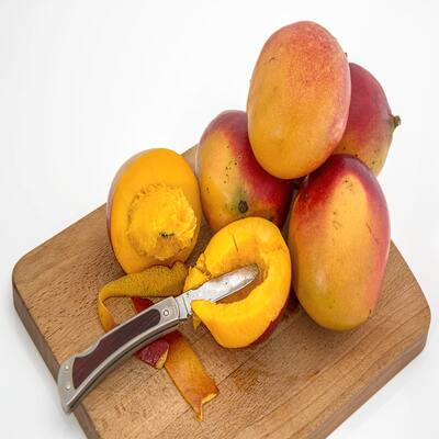 Mangue2