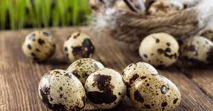 Oeuf de caille