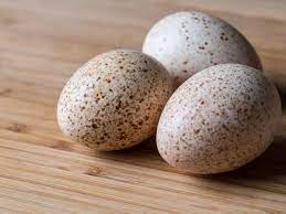 Oeuf de dinde