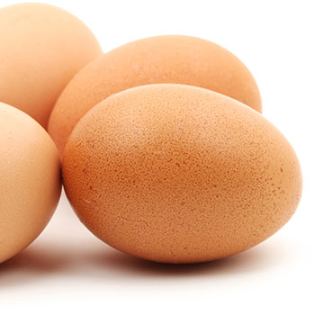 Oeuf de pintade