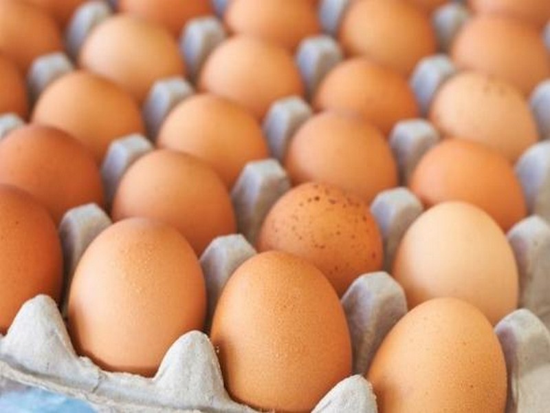 Oeuf de poule africaine