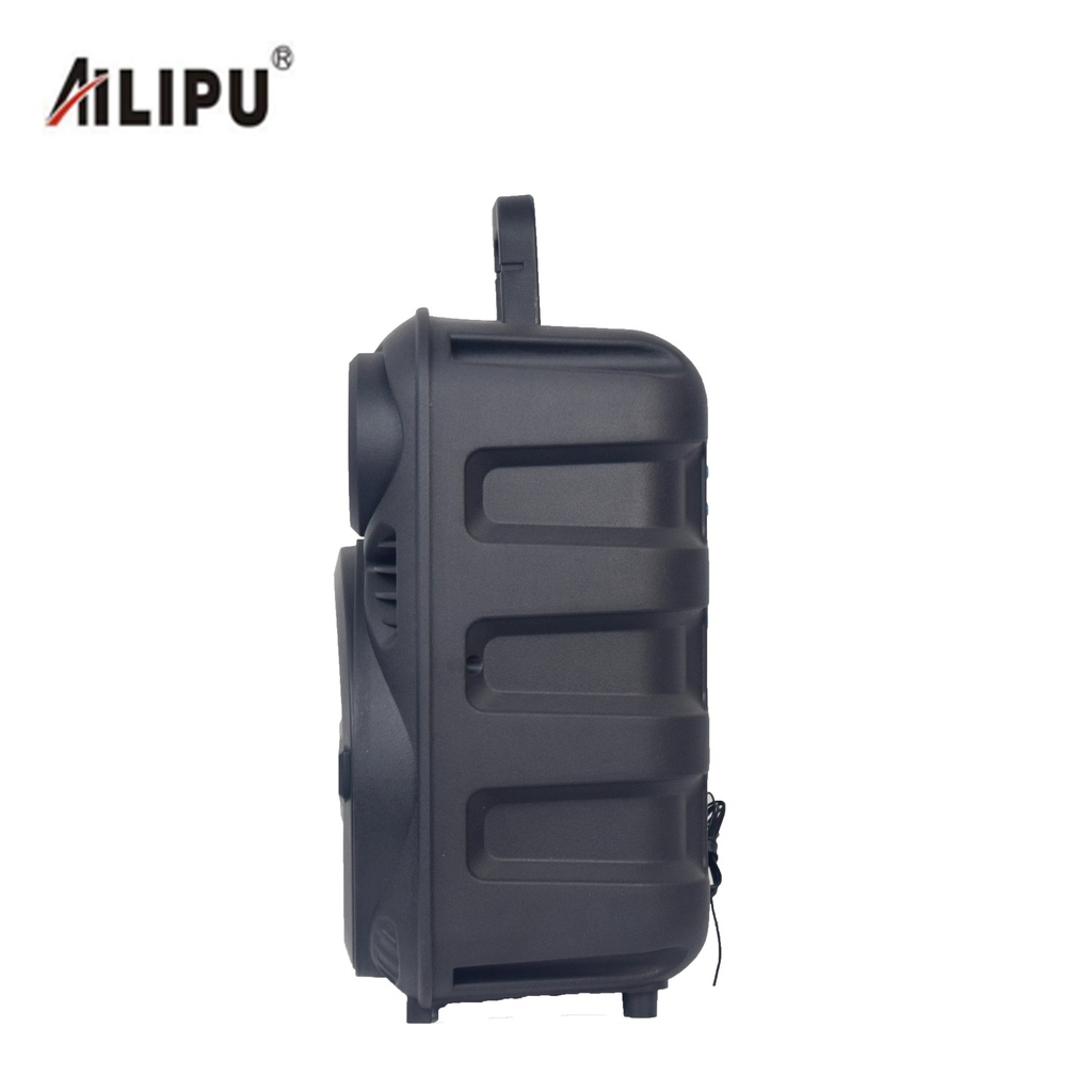 8 pouces dj box autoradio amplificateur alimenté pa haut-parleur karaoké basse sans fil haut-parleur portable boîtier en plastique