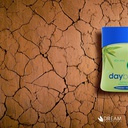 DaybyDay
