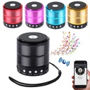 Mini Speaker Ws-887 - Argent