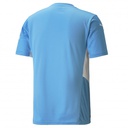 MAILLOT MANCHESTER CITY DOMICILE 2021/22