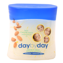 DaybyDay