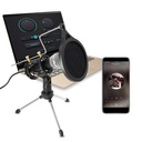 Microphone A Condensateur - 3.5mm - Noir