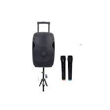 Jiepak Baffle Amplifier Loudspeaker - 2 Micros