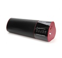 WS Enceinte Bluetooth Pro WS-2519BT - Radio FM DE HAUTE QUALITE