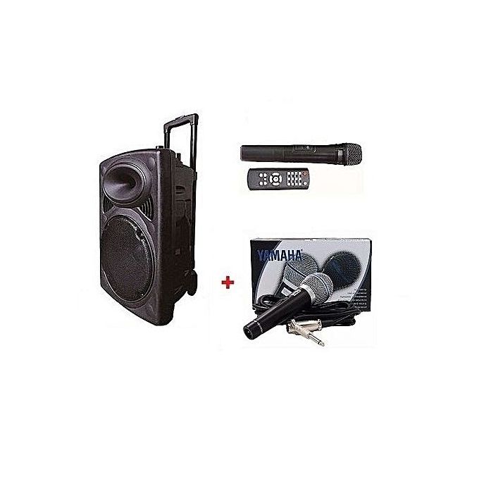 Sono Portable + 1 Télécommande + 1 Chargeur - Noir