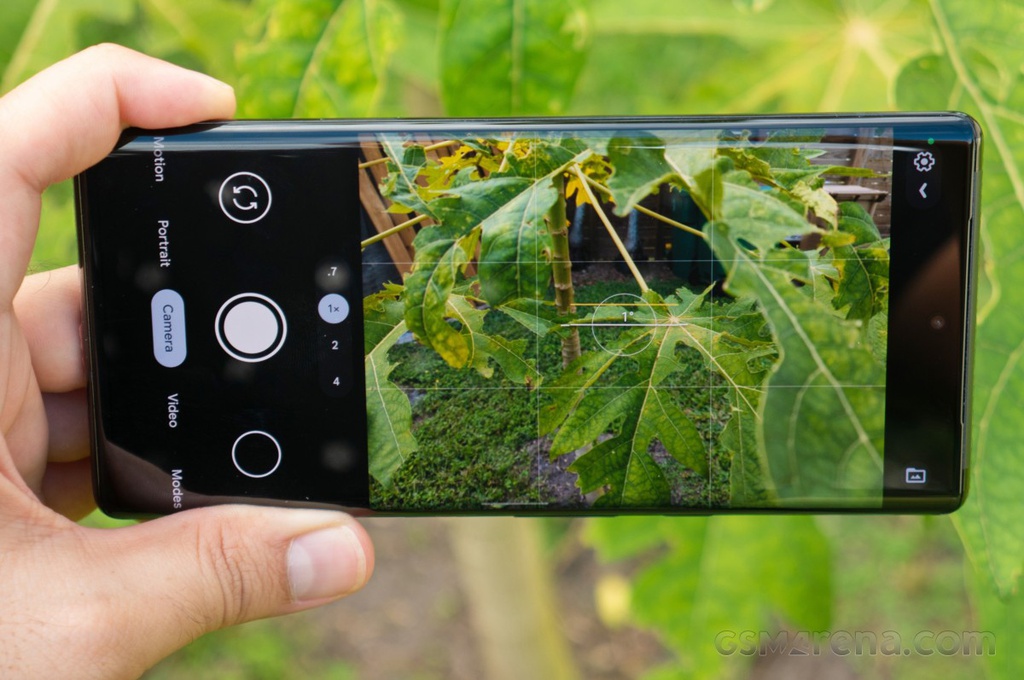 google pixel 6