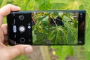 google pixel 6