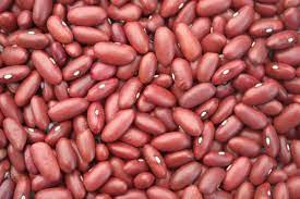 Haricot
