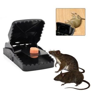 Super Colle ORIGINALS. Glu Anti-rongeurs En Tube Pour Rat, Souris. Piège à Souris Et Rats