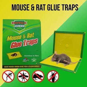 Piège à Souris Super Colle