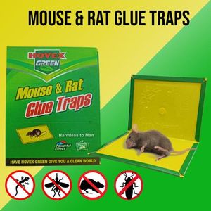 Lot De Deux Pièges à Souris (2 Pieges)