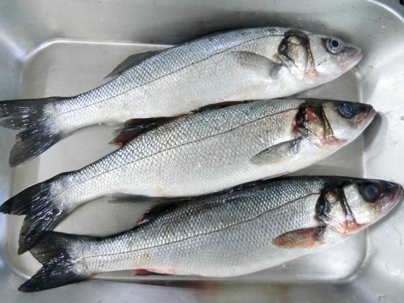 Poisson