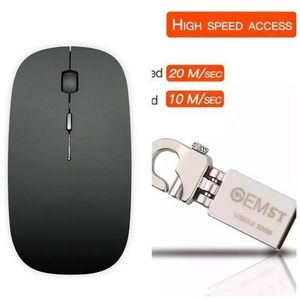Souris Optique Sans Fil  Noire + Clé USB 32G Type Porte-clé Ultra-performante -noir/Gris