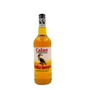 Flask Gin Lord Etfonton 120ml