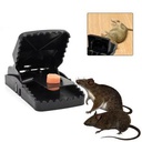 Piége À Souris. NOIR