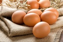 Oeuf de poule africaine