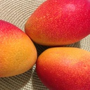 Mangue