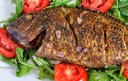 Tilapia