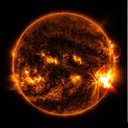 Sole