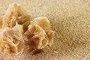LA ROSE DU DESERT FRUITE