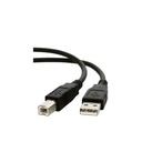 Cable Imprimante - USB - 5 M - Noir